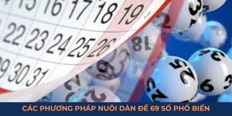 Các phương pháp nuôi dàn đề 69 số phổ biến